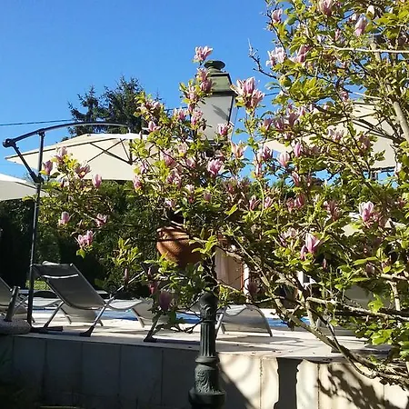 Du Commerce Chez Stephane Roumazières